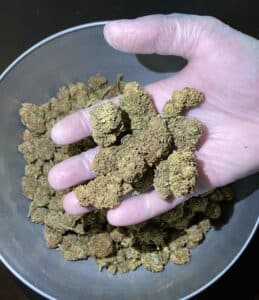 Cherry Kush CBD 2026