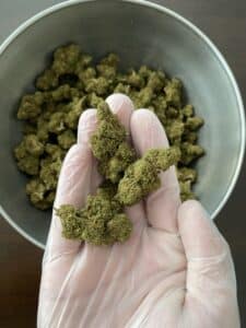Fruit Cake CBD (indoor) 2023