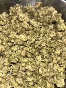 Amnesia CBD (indoor small bud) 2025