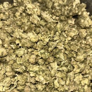 Amnesia CBD (indoor cryo mini bud) 2025