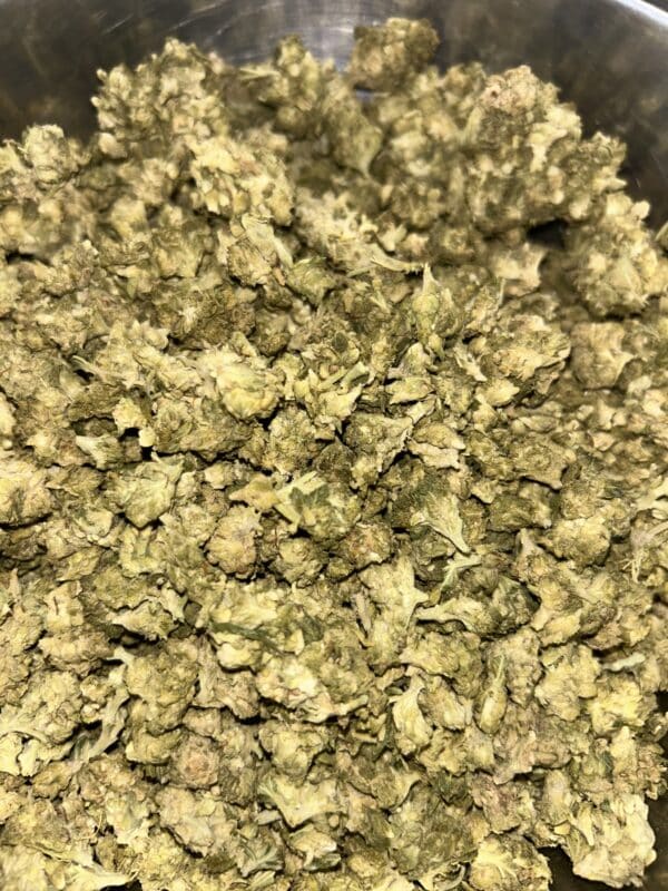 Amnesia CBD (indoor cryo mini bud) 2025