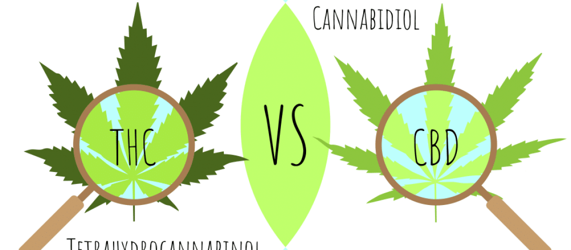 cbd cannabidiol vs thc tetrahydrocannabinol cercle avec loupe sur feuille de chanvre