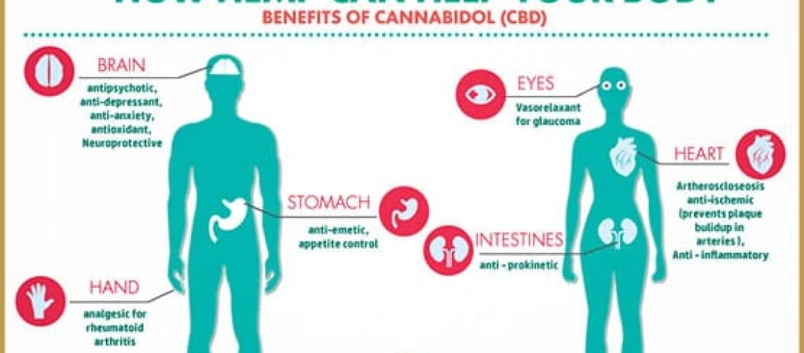 action du cbd sur le corps